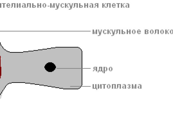 Работающий сайт кракен